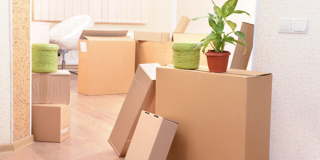 How To Protect Yourself During a Move