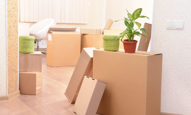 How To Protect Yourself During a Move