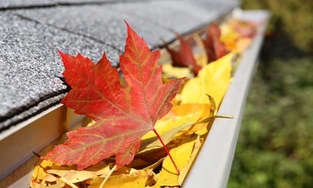 10 Fall Home Improvement Tips